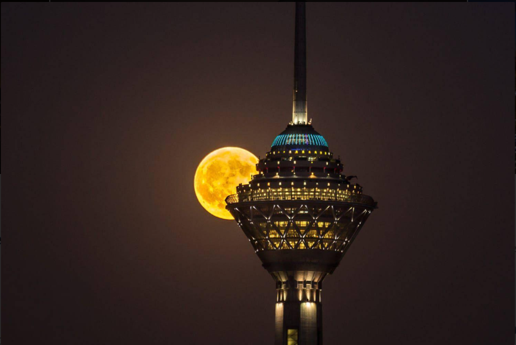 نوید عسگری